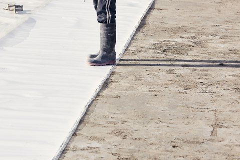 Marcus Ginns Photography