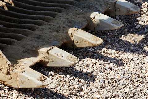 Marcus Ginns Photography