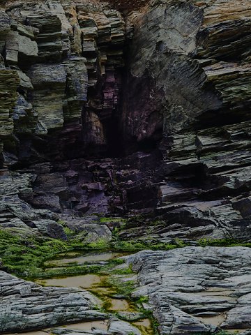 Marcus Ginns Photography