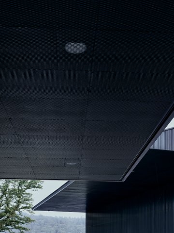 Marcus Ginns Photography