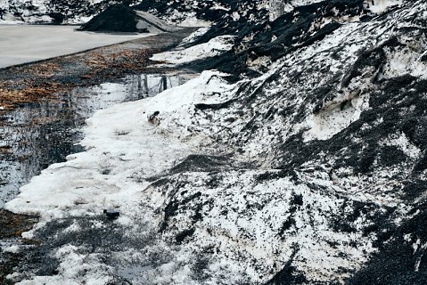 Marcus Ginns Photography